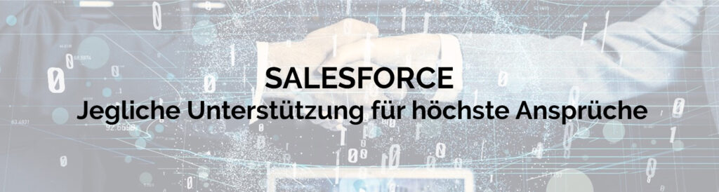 Salesforce – jegliche Unterstützung für höchste Ansprüche